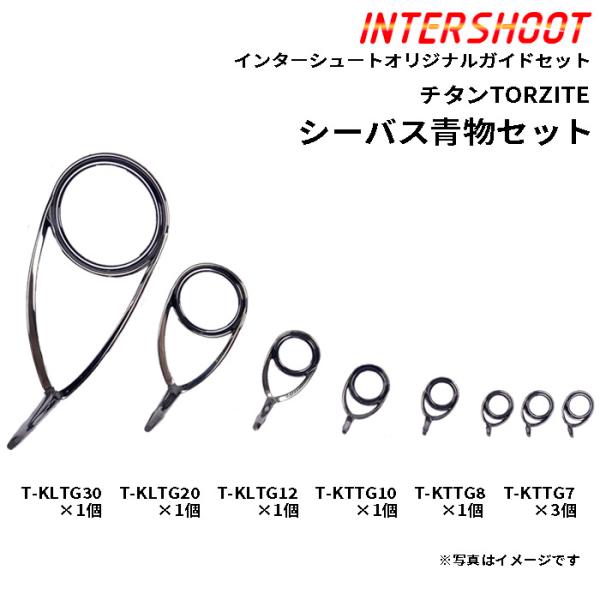 シーバス 青物 ガイドセット チタンTORZITE T-KLTG308-IS スピニング T-KLT...