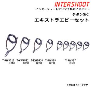 Fuji IGHBSG2081 中大物(ゴールド)セット ガイドセット トップガイド