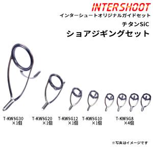Fuji ショアジギング ガイドセット ステンレスSiC PKWSG308-IS