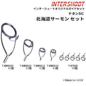 AGS ガイド セット Fuji シーバス ガイドセット チタンSiC T-KLSG25H8-IS スピニング T