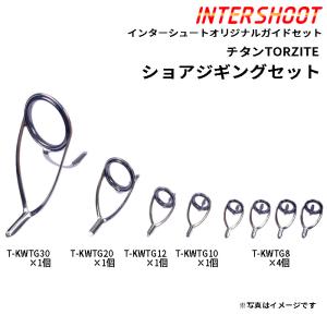 Fuji（釣り） エギング ガイドセット チタンSiC T-KLSG20H9-IS
