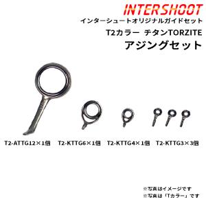 アジングガイドセット チタンTORZITE T2-ATTG126-IS T2カラー スピニング T2-ATTG12 T2-KTTG6 T2-KTTG4 T2-KTTG3 富士工業 Fuji フジ 釣り ロッドパーツ｜intershootjapan