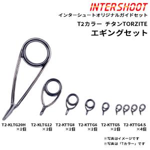 富士工業 T-RVSG306 チタンフレーム SiCガイド トーナメント30 Fuji（釣り） T-RVSG306 トーナメントセット ガイドセット