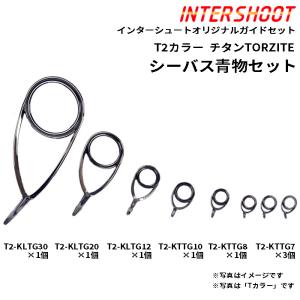 Fuji T-RVSG40 RVガイド リングサイズ40 富士工業 チタンフレームSiC