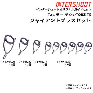 Fuji T-RVTG40F RVガイド リングサイズ40 富士工業 トルザイトガイド