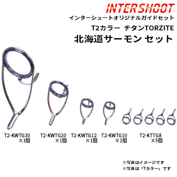 北海道サーモン ガイドセット チタンTORZITE T2-KWTG309-IS T2カラー スピニン...