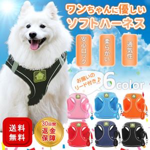ハーネス 犬 おしゃれ かわいい 胴輪 リード 首輪 小型犬