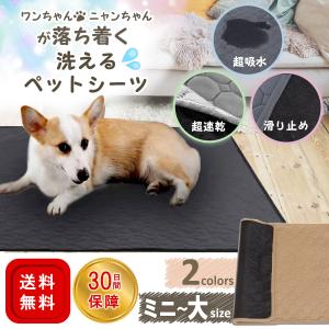 ペットシート シート 洗える マット ワイド レギュラー 厚手 犬用 繰り返し 洗濯 防水 超吸水 速乾 ズレ防止 漏れ防止 布製 車 大判