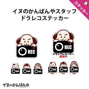 エヴァンゲリオン NERV 蓄光 ドライブレコーダー ステッカー シール