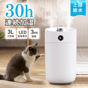 加湿器 超音波式 大容量 3L ダブルノズル加湿器 LEDライト付き 上部給水 焚き防止 静音 節電 省エネ エコ 軽量 送料無料 卓上加湿器