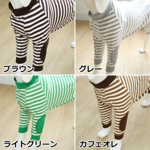 送料無料 大型犬向け 背面ジッパータイプで着用...の詳細画像2