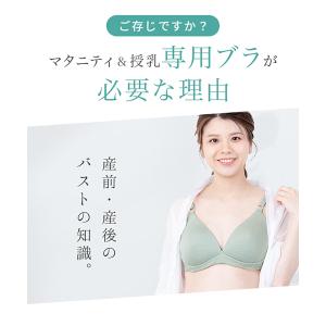 犬印本舗 マタニティブラジャー ノンワイヤー ...の詳細画像2