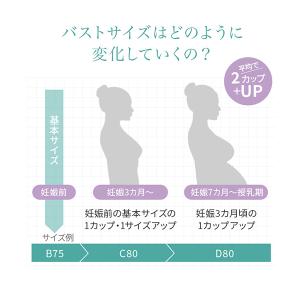 犬印本舗 マタニティブラジャー ノンワイヤー ...の詳細画像3