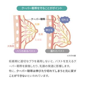 犬印本舗 マタニティブラジャー ノンワイヤー ...の詳細画像5