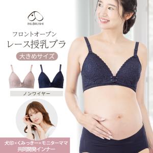 スポーツブラ 上下 セット 2枚 フリーサイズ セクシー Tバック 赤