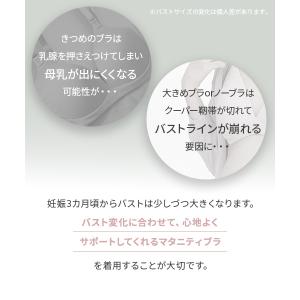 犬印本舗 サイズ選びに迷わない ハーフトップ ...の詳細画像4