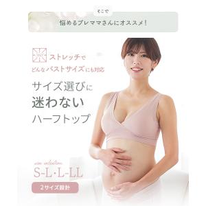 犬印本舗 サイズ選びに迷わない ハーフトップ ...の詳細画像5