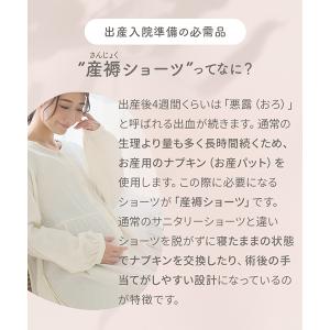 【メール便可】犬印本舗 産褥ショーツ 全開タイ...の詳細画像2