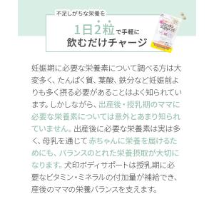 【メール便可】犬印本舗 ボディサポート サプリ...の詳細画像4