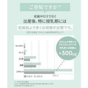 【メール便可】犬印本舗 ボディサポート サプリ...の詳細画像3