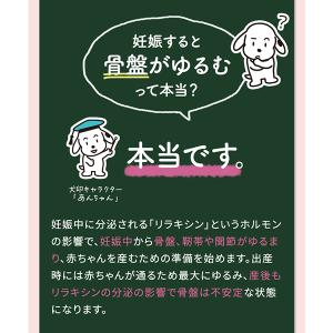 【産婦人科医推奨】犬印 骨盤ベルト妊娠帯 腹帯...の詳細画像4