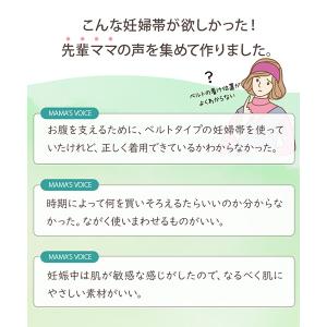 犬印 × ninaru コラボ お腹支えベルト...の詳細画像3