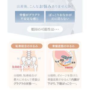 犬印本舗 産後 骨盤ベルト 産後すぐ 産後リフ...の詳細画像2