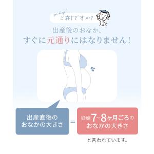 犬印本舗 産後すぐニッパー LL 3L サイズ...の詳細画像2