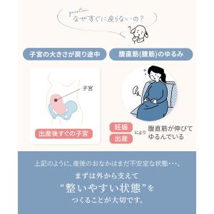 犬印本舗 産後すぐニッパー LL 3L サイズ...の詳細画像3