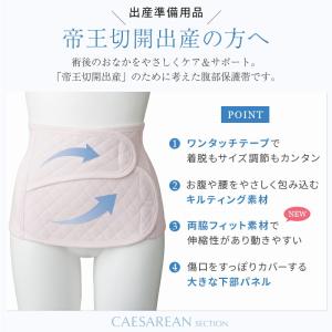 犬印本舗 帝王切開 帝王切開後の腹部保護帯 お...の詳細画像1