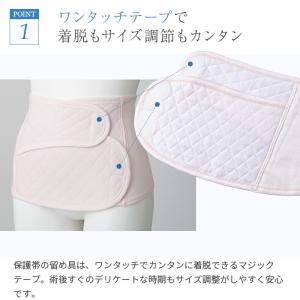 犬印本舗 帝王切開 帝王切開後の腹部保護帯 お...の詳細画像2