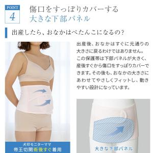 犬印本舗 帝王切開 帝王切開後の腹部保護帯 お...の詳細画像5