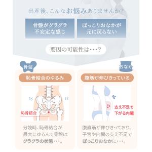【 犬印本舗 公式通販 限定セット 】犬印 産...の詳細画像3