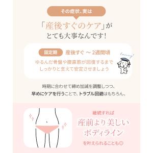 【 犬印本舗 公式通販 限定セット 】犬印 産...の詳細画像4