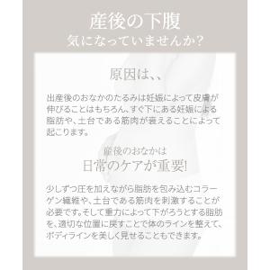 犬印本舗 産後用ショーツ 2枚組 産後 インナ...の詳細画像2