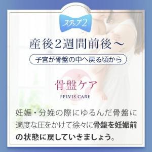 犬印本舗 産後 骨盤ショーツ 骨盤補正 骨盤ケ...の詳細画像3