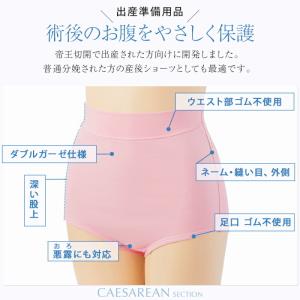 【メール便可】犬印本舗 帝王切開 ダブルガーゼ...の詳細画像1