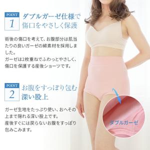 【メール便可】犬印本舗 帝王切開 ダブルガーゼ...の詳細画像2