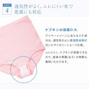 【メール便可】犬印本舗 帝王切開 ダブルガーゼ...の詳細画像4