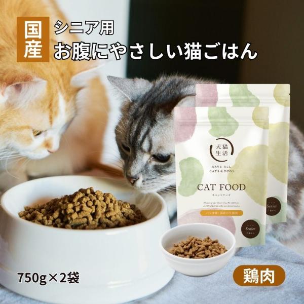 犬猫生活 キャットフード シニア 生鶏肉味 2袋（750g×2） [ 国産 無添加 乳酸菌 配合 素...