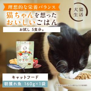 犬猫生活 【特典付き】犬猫生活 キャットフード オールステージ