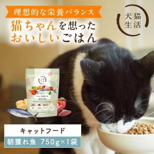 犬猫生活 猫用おやつピューレ6袋（1袋15本）計90本 猫用 おやつピューレ 国産鶏肉&真鯛ブレンド | 犬猫生活公式ショップ