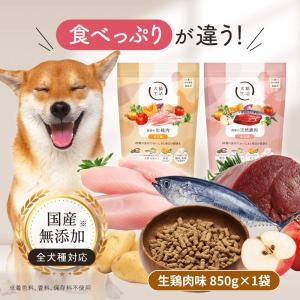 犬猫生活 【特典付き】犬猫生活 キャットフード オールステージ