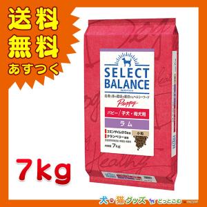 セレクトバランス パピー ラム 小粒 子犬・母犬用7kg ドッグフード 全国送料無料 あすつく