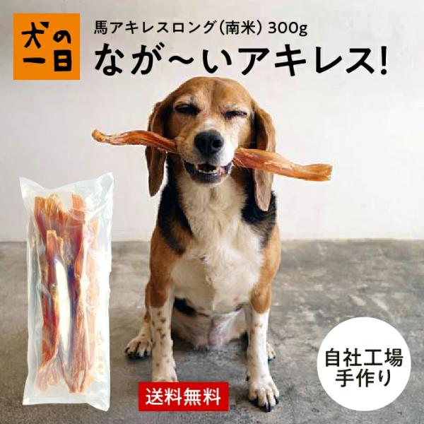 犬 おやつ アキレス 歯みがき ガム 完全 無添加 馬アキレスロング 300g