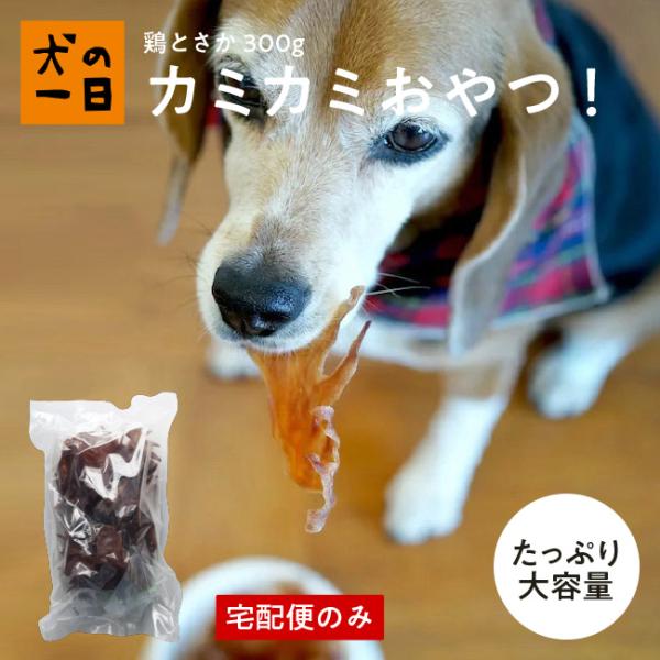 犬 おやつ ガム 無添加 国産 デンタルケア 歯みがきガム 鶏とさか 300g ジャーキー とさか