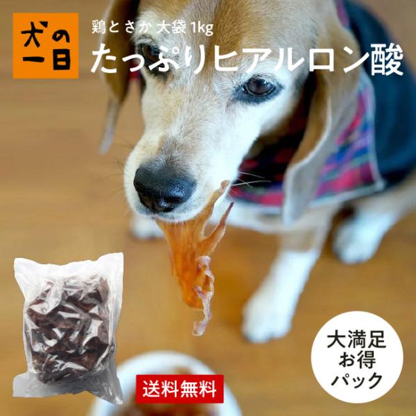 犬 おやつ ガム 無添加 国産 歯みがきガム デンタルケア 鶏とさか 1,000g 1kg ジャーキ...