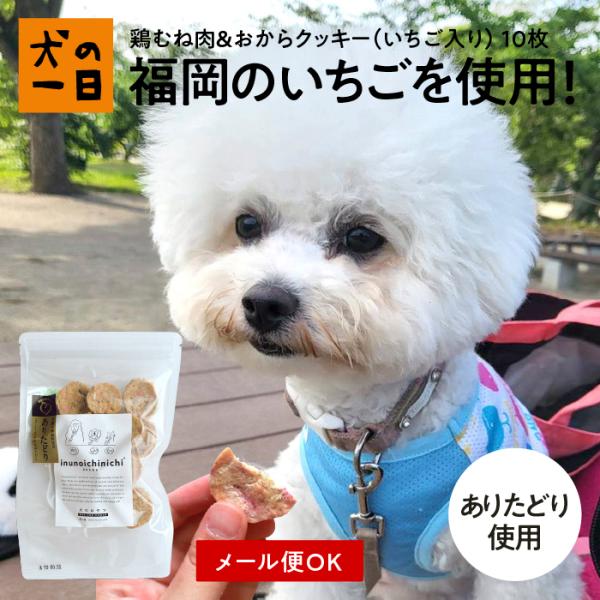 犬　おやつ　クッキー　無添加　国産　九州産・犬用鶏肉＆おからクッキー10枚（いちご入り）