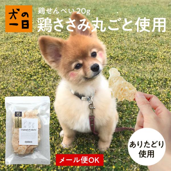 犬 おやつ 無添加 国産  ダイエット ささみ ヘルシー ペット 九州産・鶏せんべい 20g（ありた...