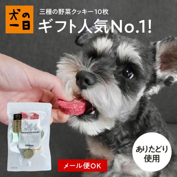 犬　おやつ　クッキー　無添加　国産　九州産・三種の野菜クッキー 10枚（ありたどり）
